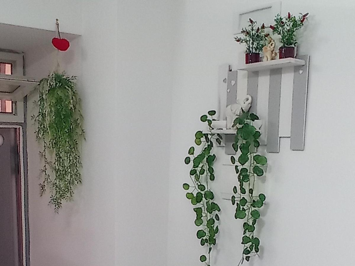 Nunzia'S House Napoli公寓 外观 照片